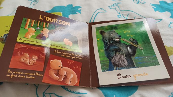 Lot livres à lire et à toucher - photo numéro 6