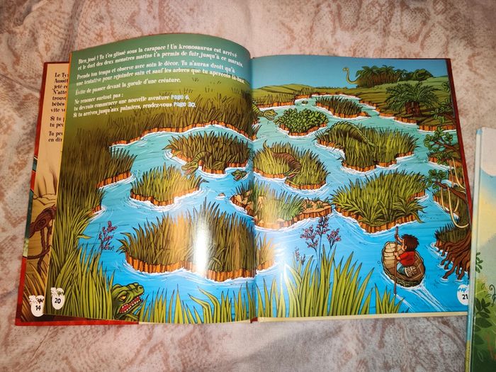 Lot de 2 livres sur les dinausaures - photo numéro 5