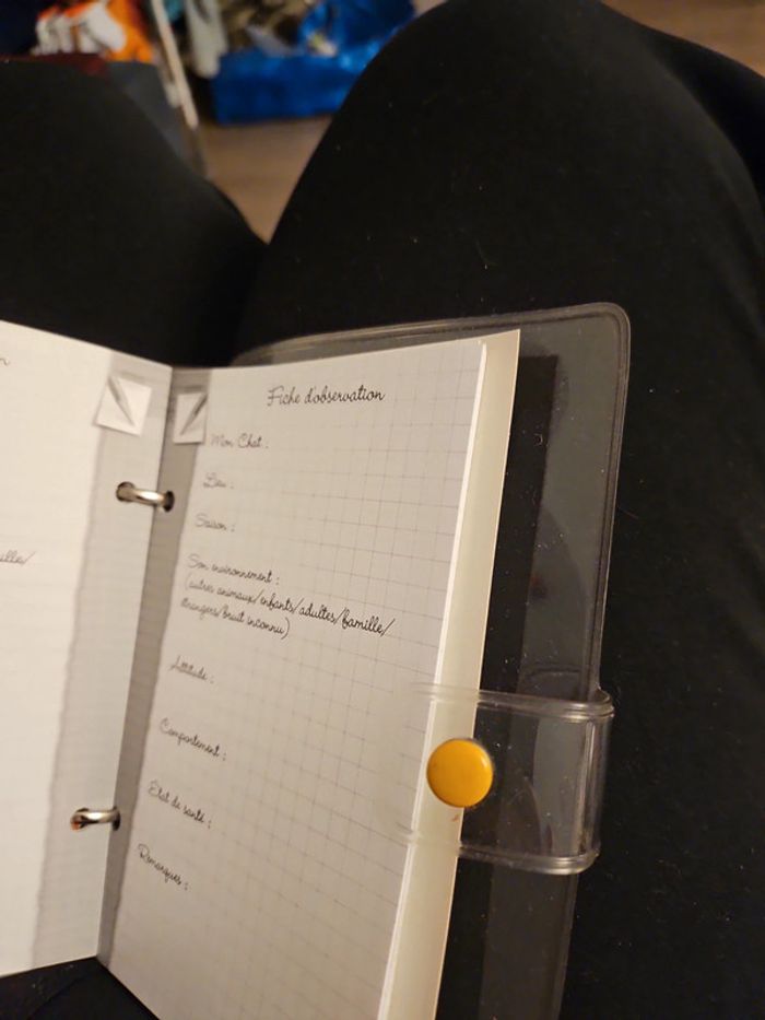 Carnet de mon chat - photo numéro 5