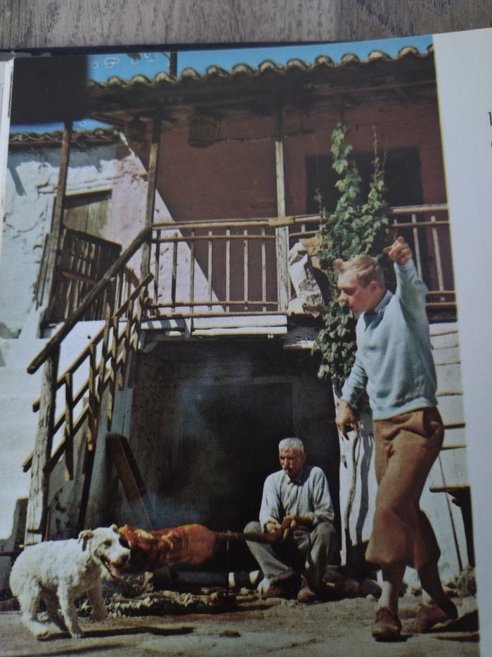 BD ancienne Un album-film "Les aventures de Tintin au cinéma" - photo numéro 4