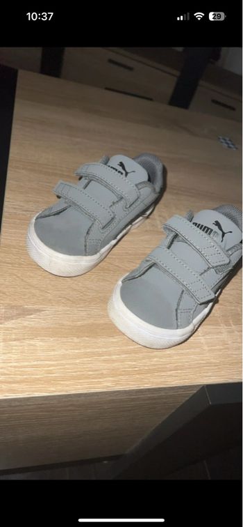 Basket puma 