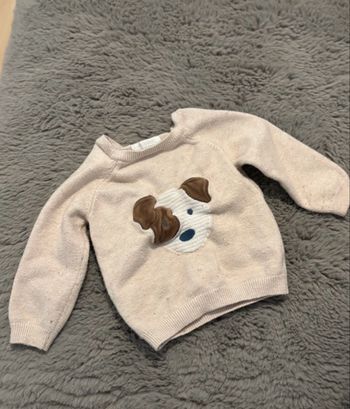 Pull chien 