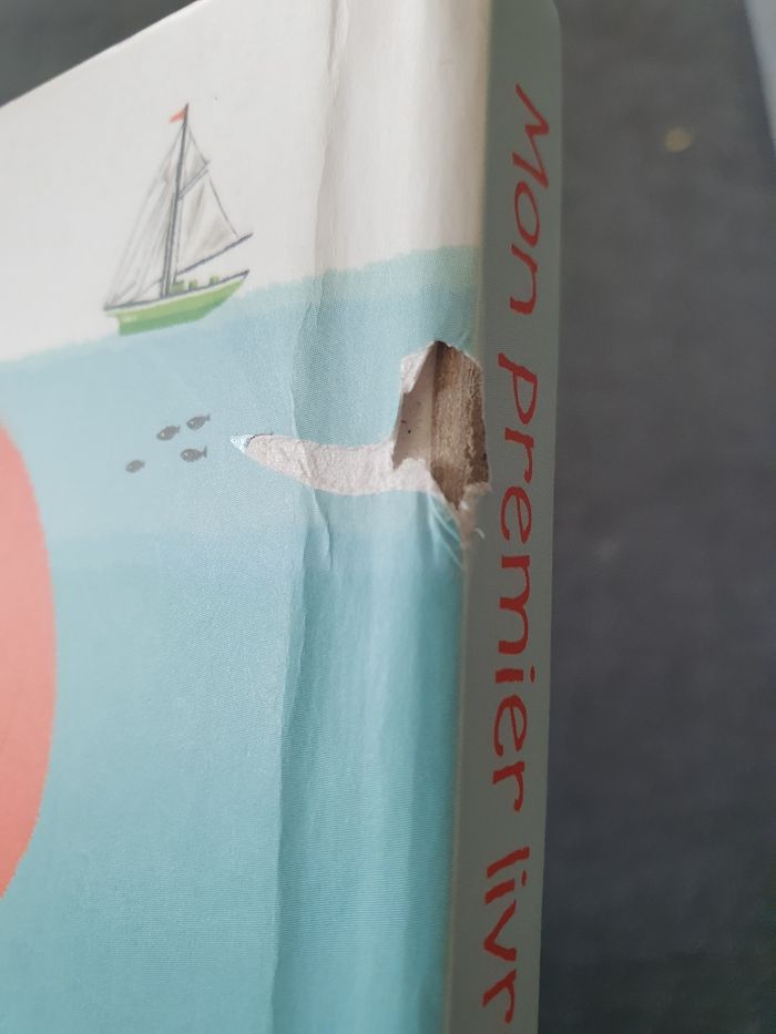 Mon premier livre sur les mers et les océans - photo numéro 5