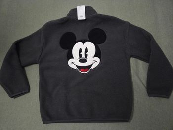Sweat Polaire logo Disneyland Paris Mickey taille L + 1 goodies Disney