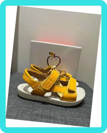 5680401 Shoo Pom Taille 29