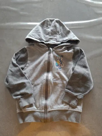 Veste 2 - 4 ans Lupilu