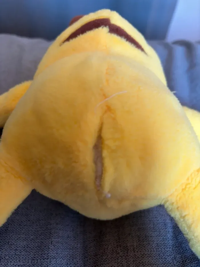 Peluche Pokémon pikachu - photo numéro 2