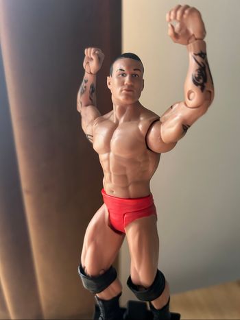 Randy Orton WWE Action Figure