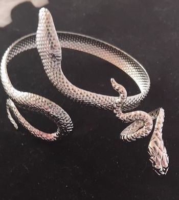 Ensemble bague et bracelet style bohème- serpent cobra - argenté