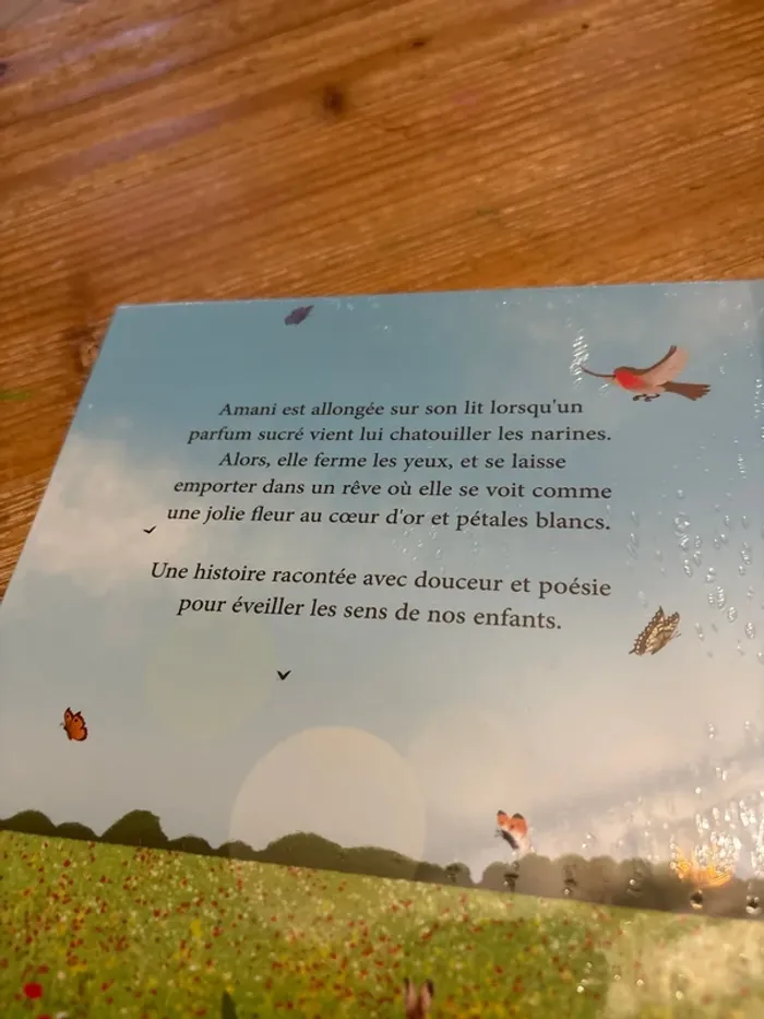 Le rêve d’Amani - photo numéro 4