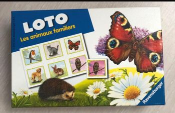 Jeux loto animaux familiers