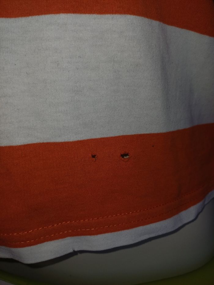 Polo gemo - photo numéro 2