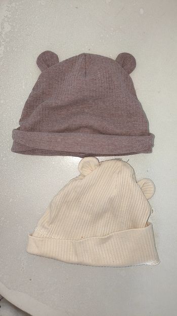 Bonnet