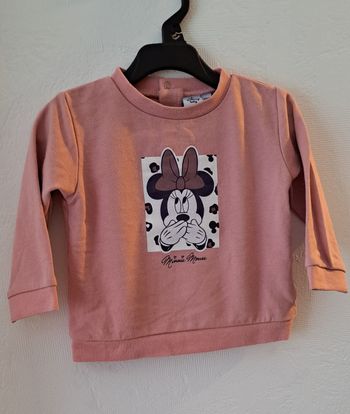Sweat Disney 12 mois