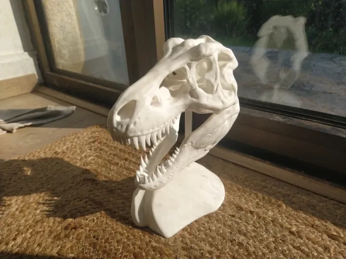 Crâne de T-Rex tyrannosaure Jurassic park - photo numéro 15