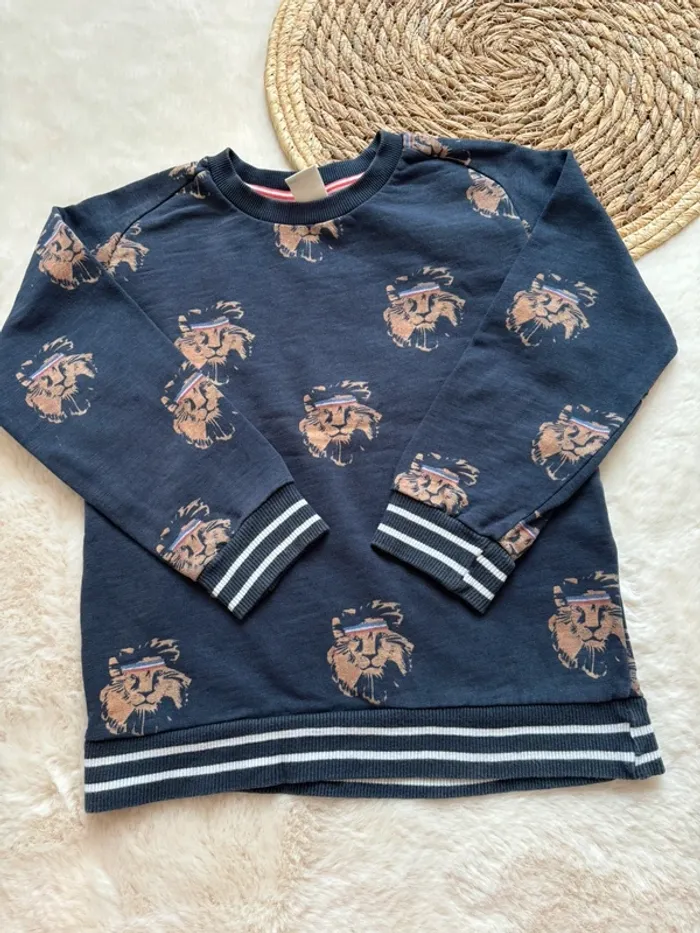 Pull Lion