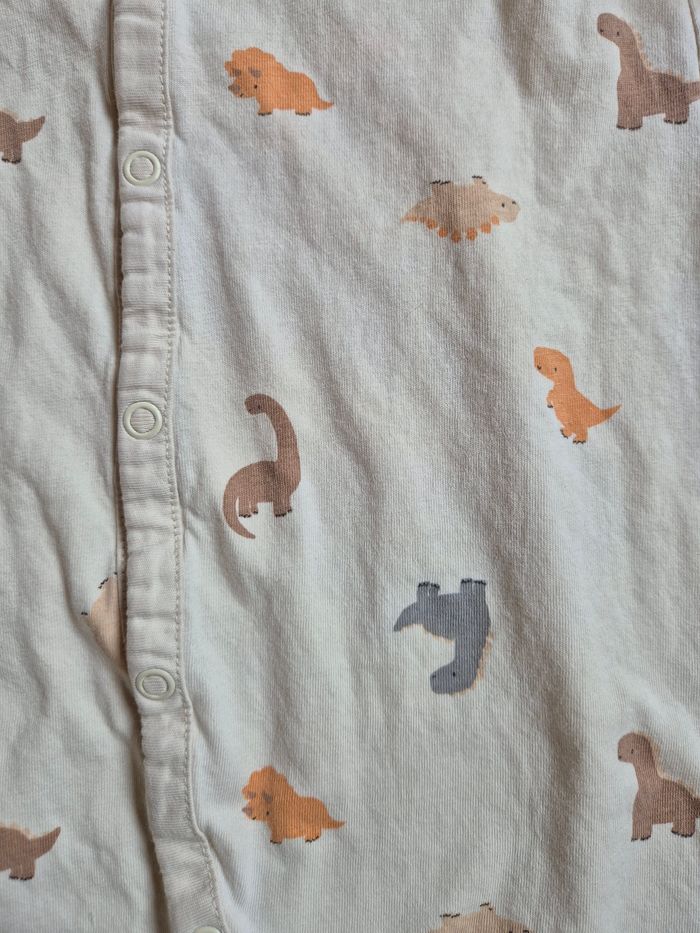 Pyjama dinosaure - photo numéro 2
