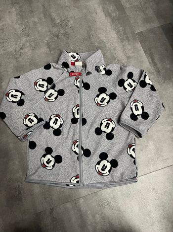 Polaire Mickey