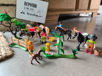 Lot centre équestre/ cheval