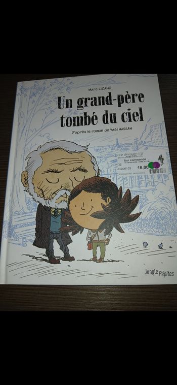 Livre BD un grand père tombé du ciel