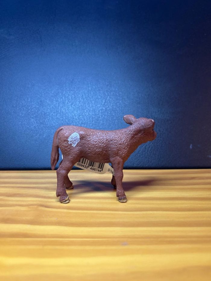 Veau texas longhorn - photo numéro 2