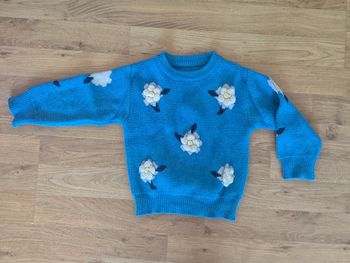 Pull bleu
