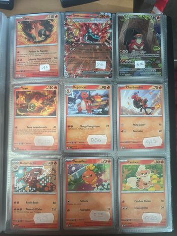 Carte Pokémon type feu