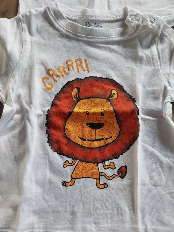 Lot Tee-shirts bébé 12 mois - photo numéro 3