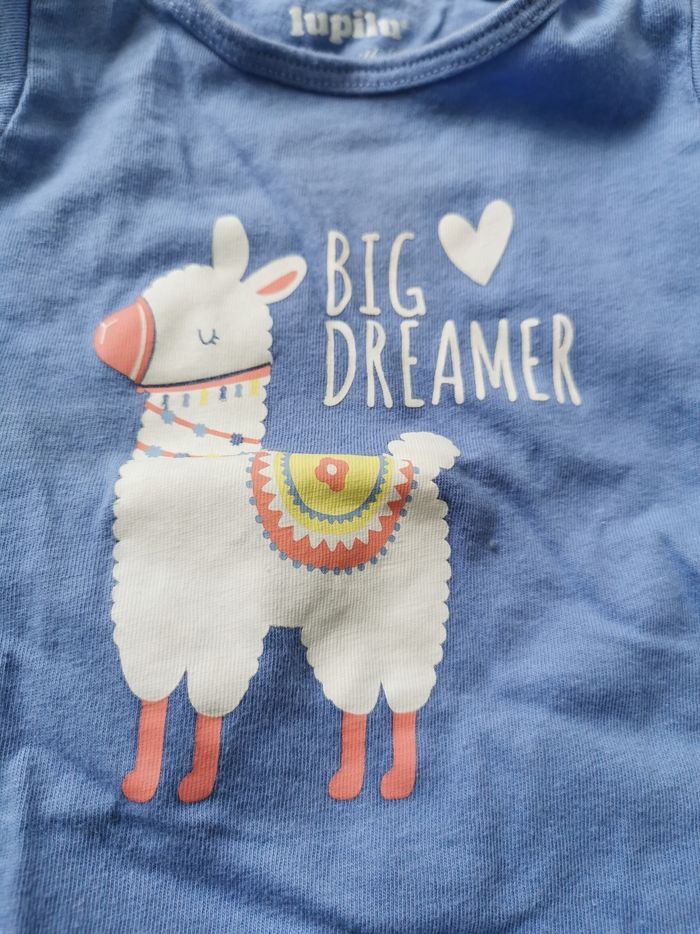 Lot de 2 tee shirts - photo numéro 3