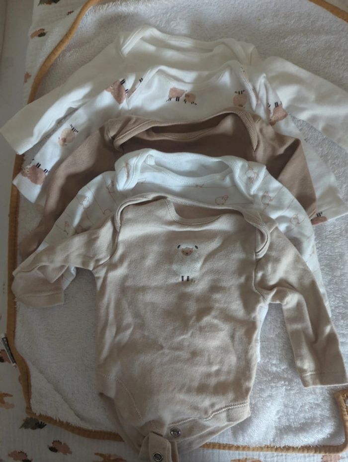 Lot 5 bodys moutons Primark
