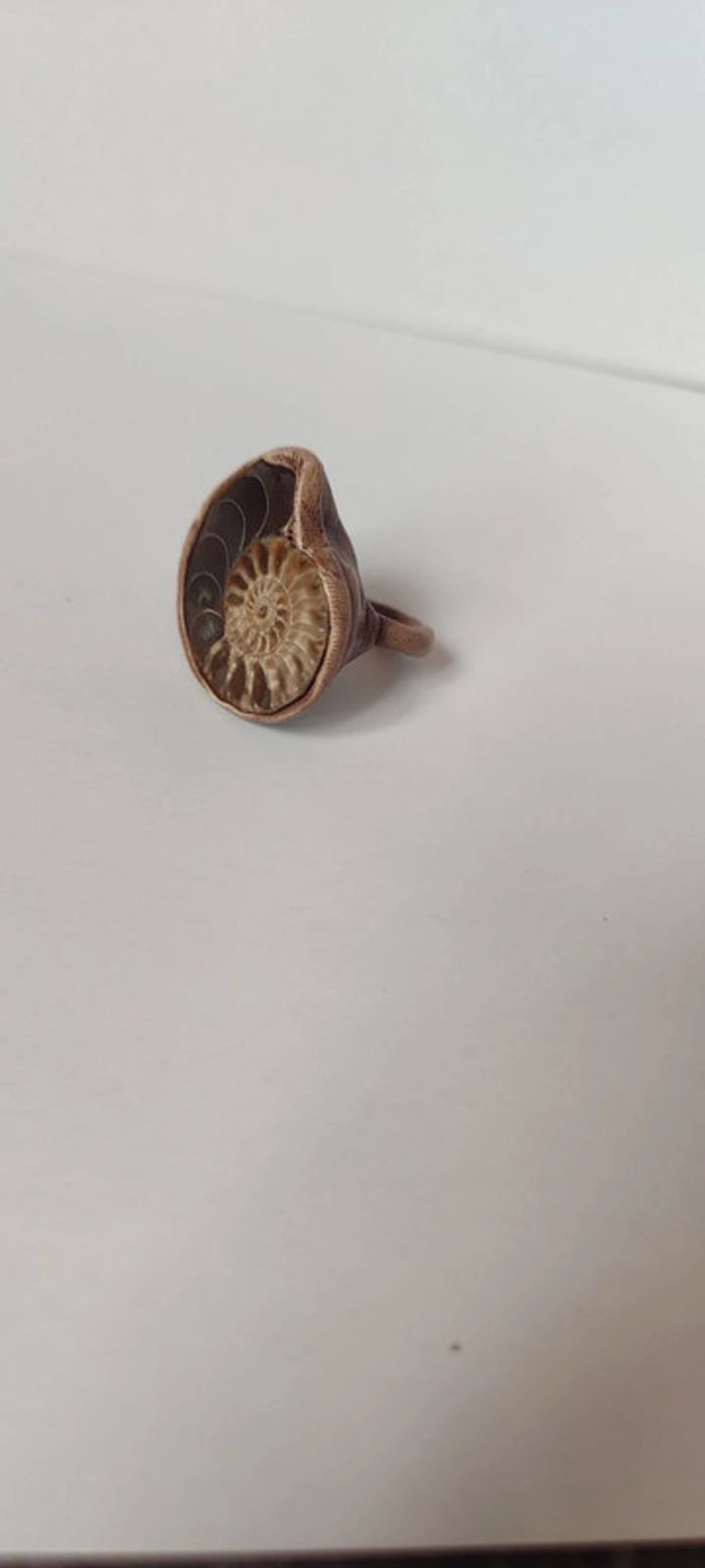 Bague montée d'une ammonite - photo numéro 6