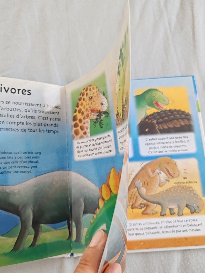 Les dinosaures - photo numéro 3