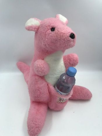 Grande peluche kangourou  Evian  Prix non négociable                 #bébéfille  #bebegarcon #naissance #naissancegarcon #nourrisson #maternité #sacfemme #grossesse #ensemblebebe #prixnegociable #prixlots #chauffebiberon #éveil #eveilbebe #jouetenfant #co
