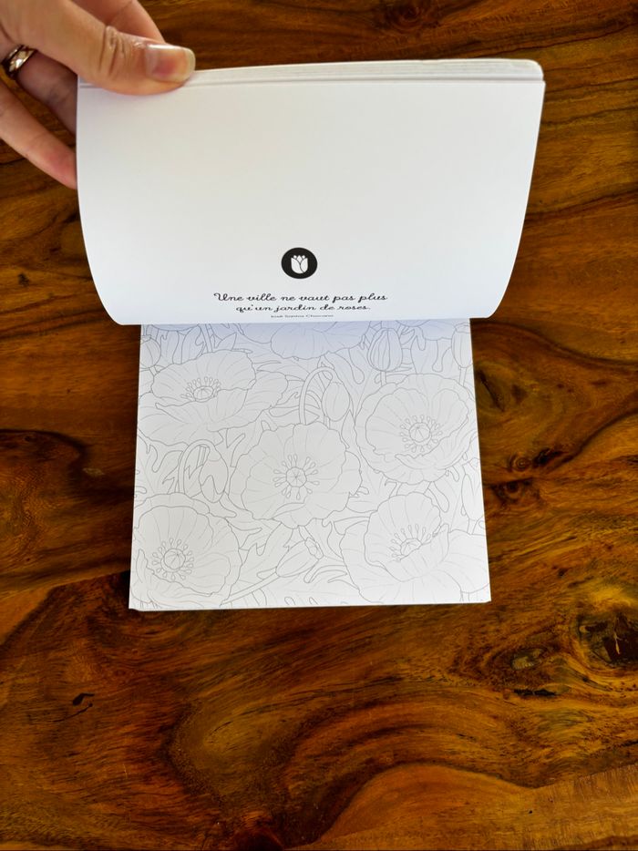 Carnet de coloriage - photo numéro 3