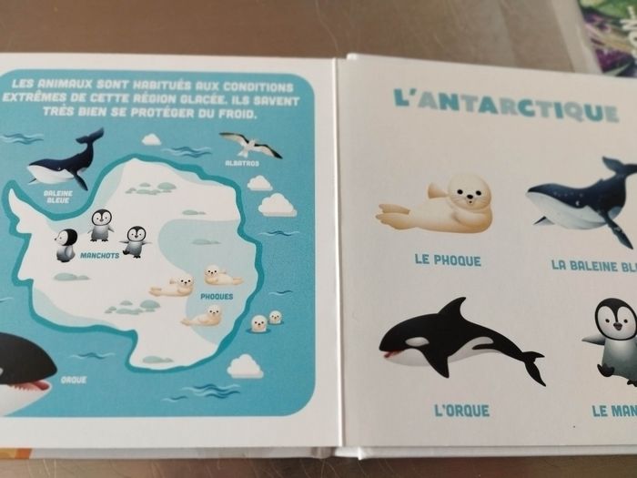 Livre enfant Disney baby mes premiers imagiers les animaux du monde - photo numéro 2