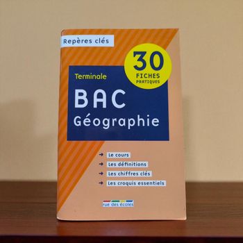 Livre Bac géographie
