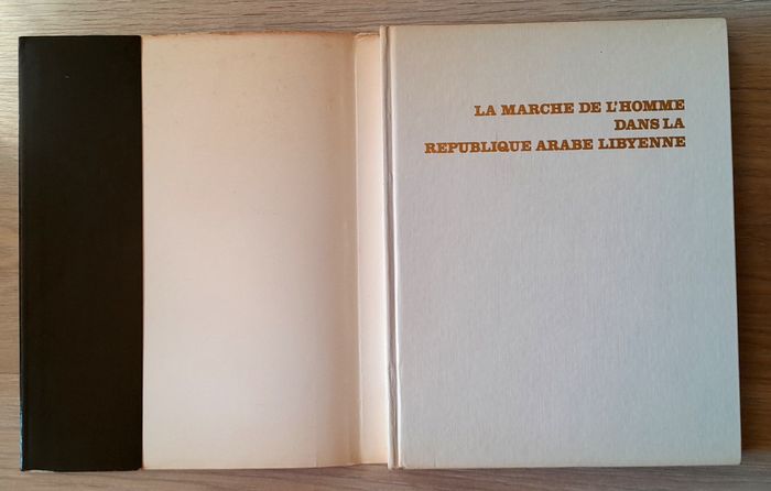 la marche de l'homme dans la république arabe lybienne - photo numéro 4