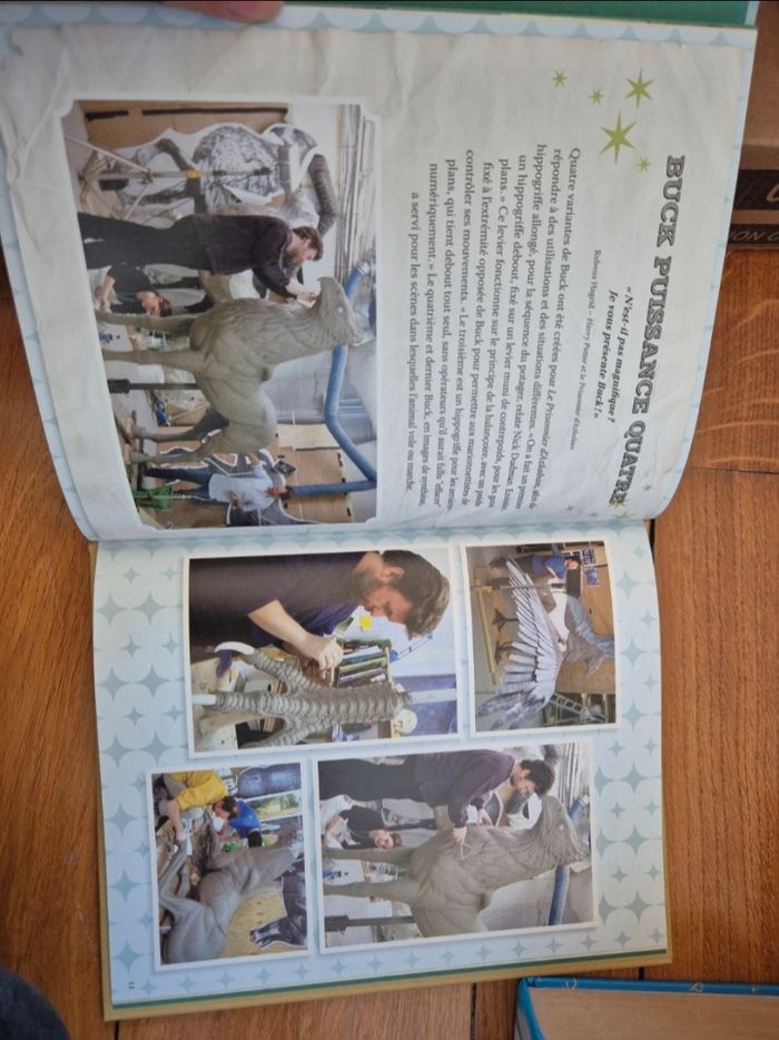 Livre Harry Potter - Buck - photo numéro 4