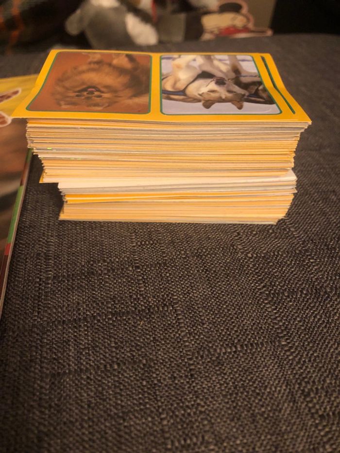 Album panini animaux 2022 + gros lot de stickers - photo numéro 2