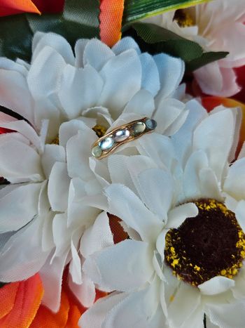 Bague avec ses pierres