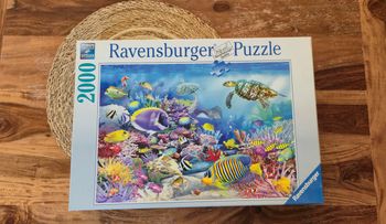 Puzzle Fond sous  2000 pièces