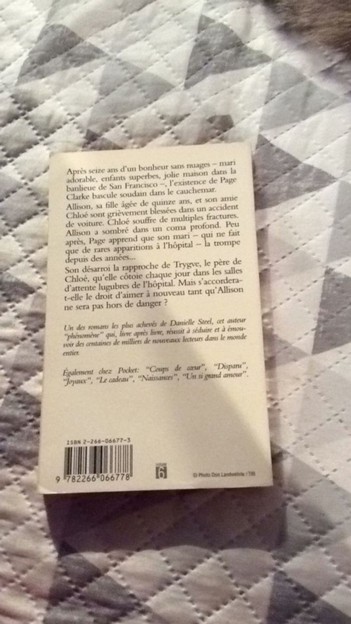 #Accident par Danielle Stell - photo numéro 3