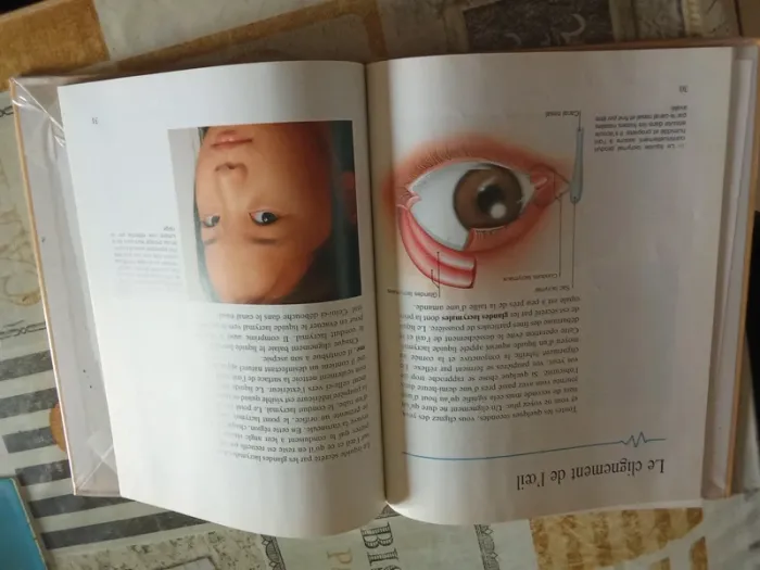 L'œil et la vision - photo numéro 2