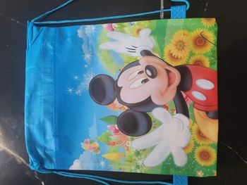 Sacs mickey