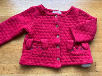 Beau gilet du pareil au même 9 mois fille