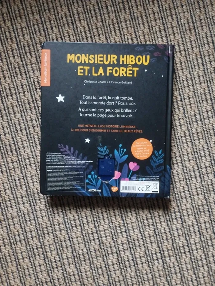 Livre lumineux Monsieur Hibou et la Forêt - photo numéro 9