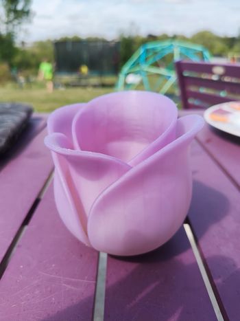 Pot  tulipe  uv