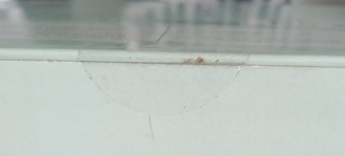 Dominos - photo numéro 3