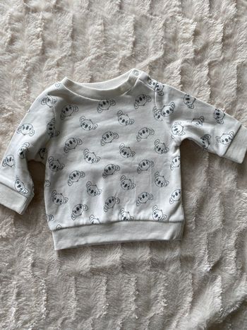 Pull koalas
