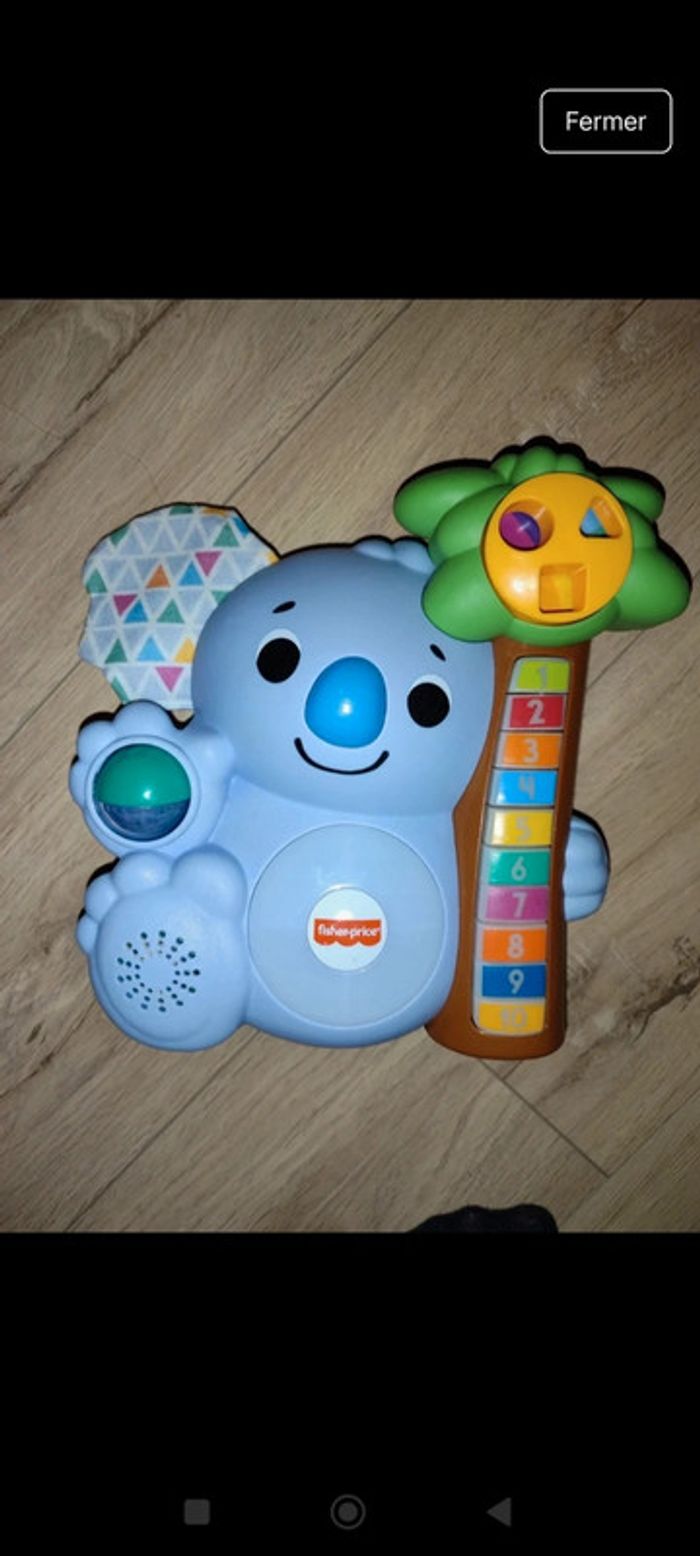 Koala chanteur